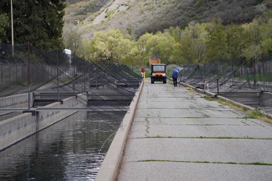 Durango Fish Hatchery