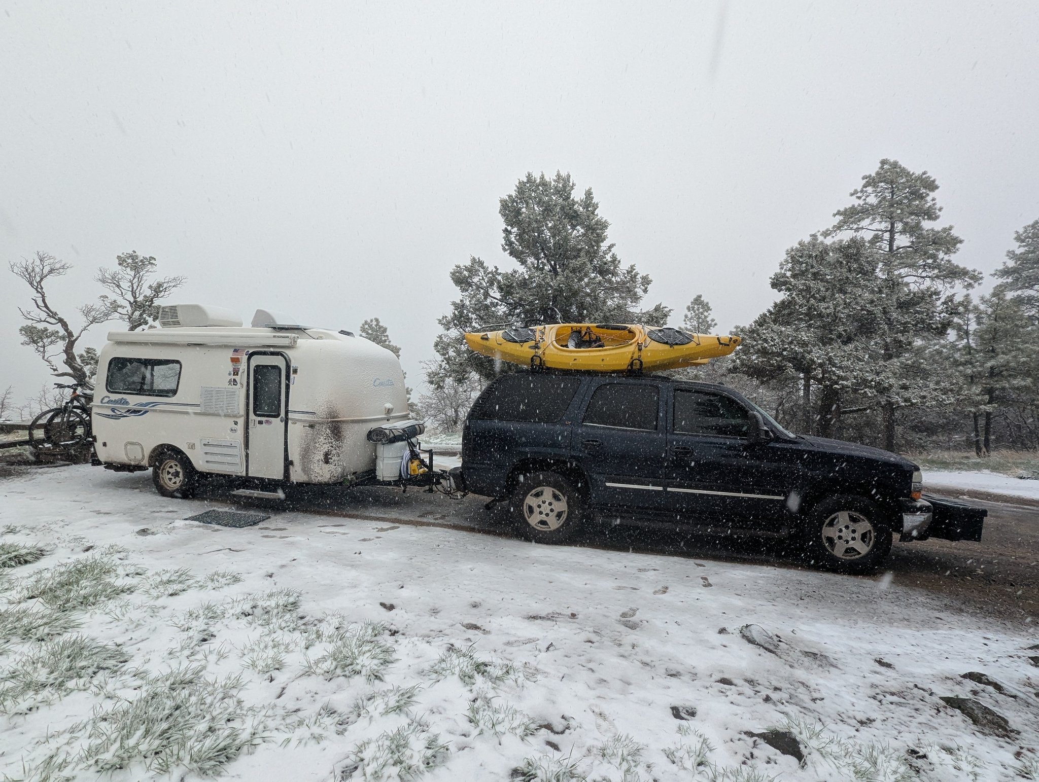 First spot on Forestry Road