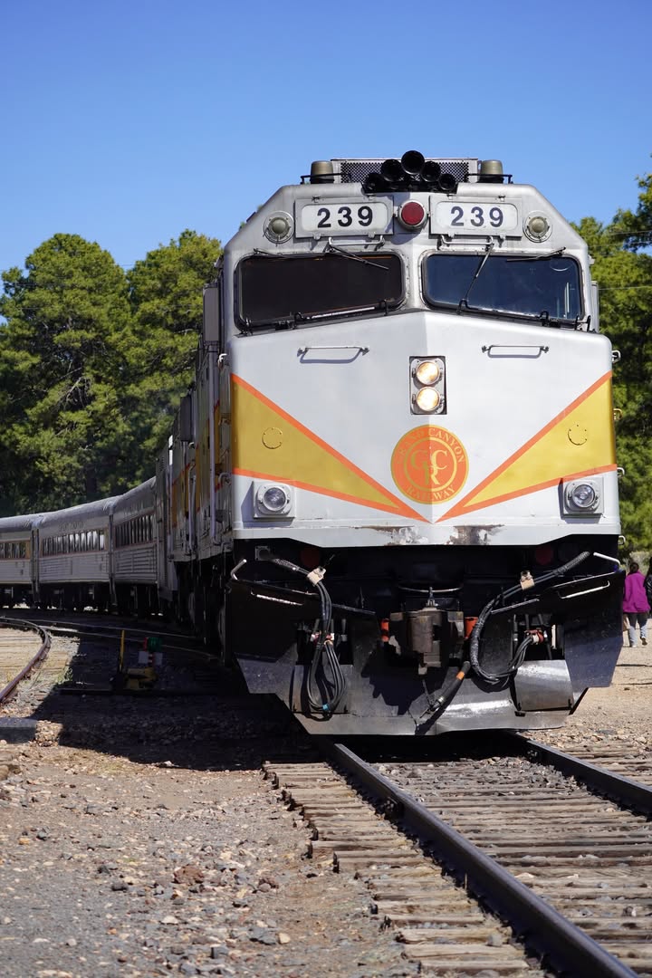 Grand Canyon Train
