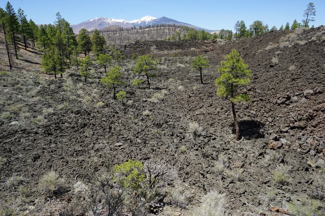 Lava Flow Trail at Sunset Crater