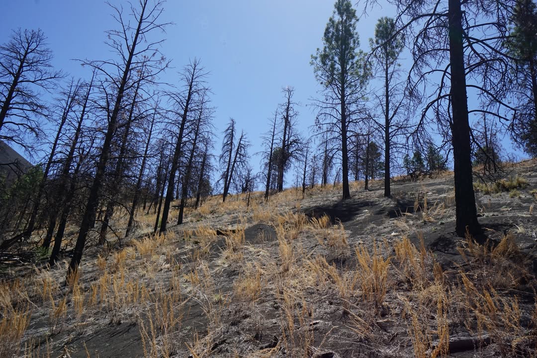 Lava Flow Trail at Sunset Crater