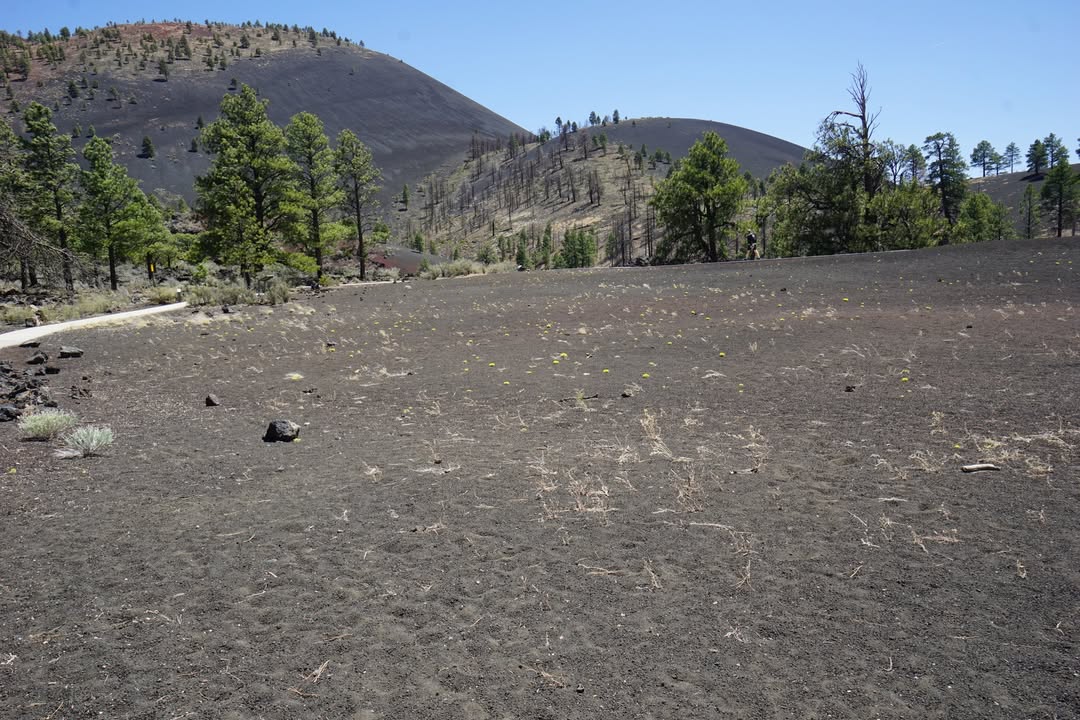 Lava Flow Trail at Sunset Crater