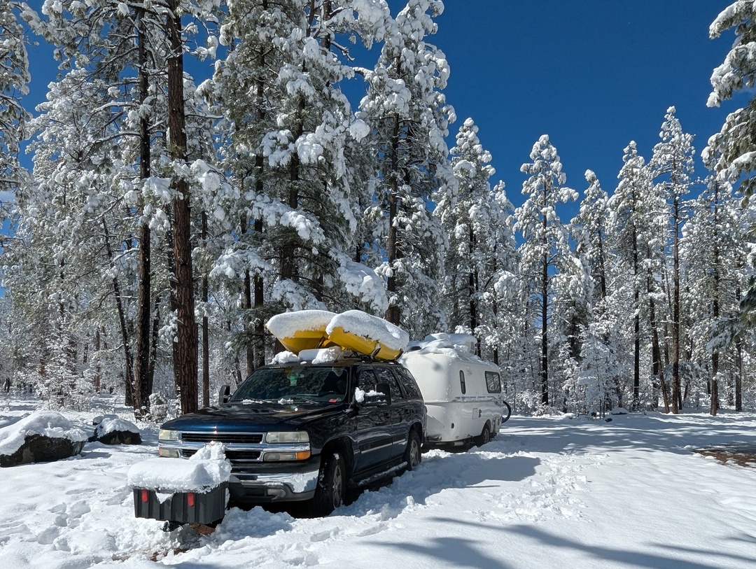 Morning after Snowfall