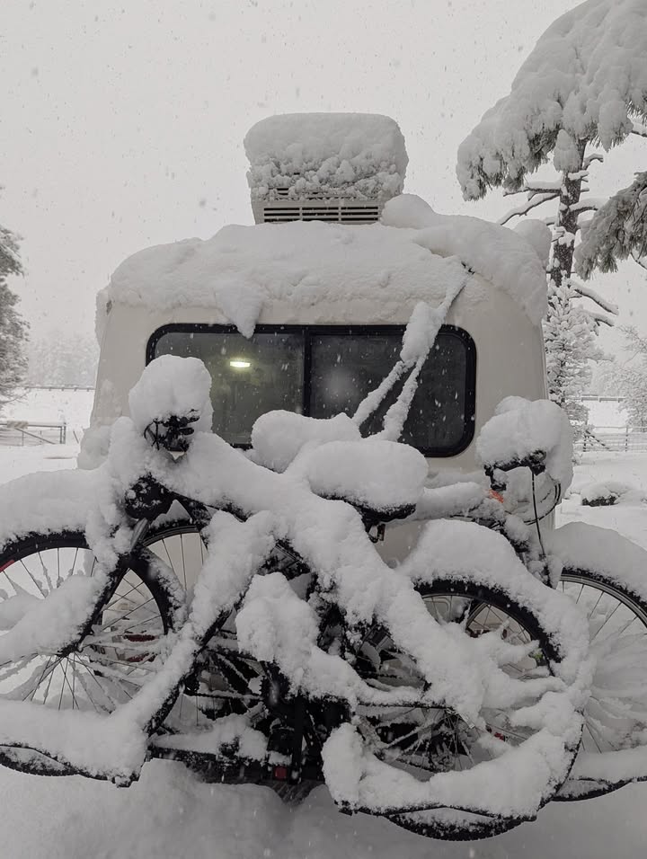 Snowed In off I-17 near Flagstaff