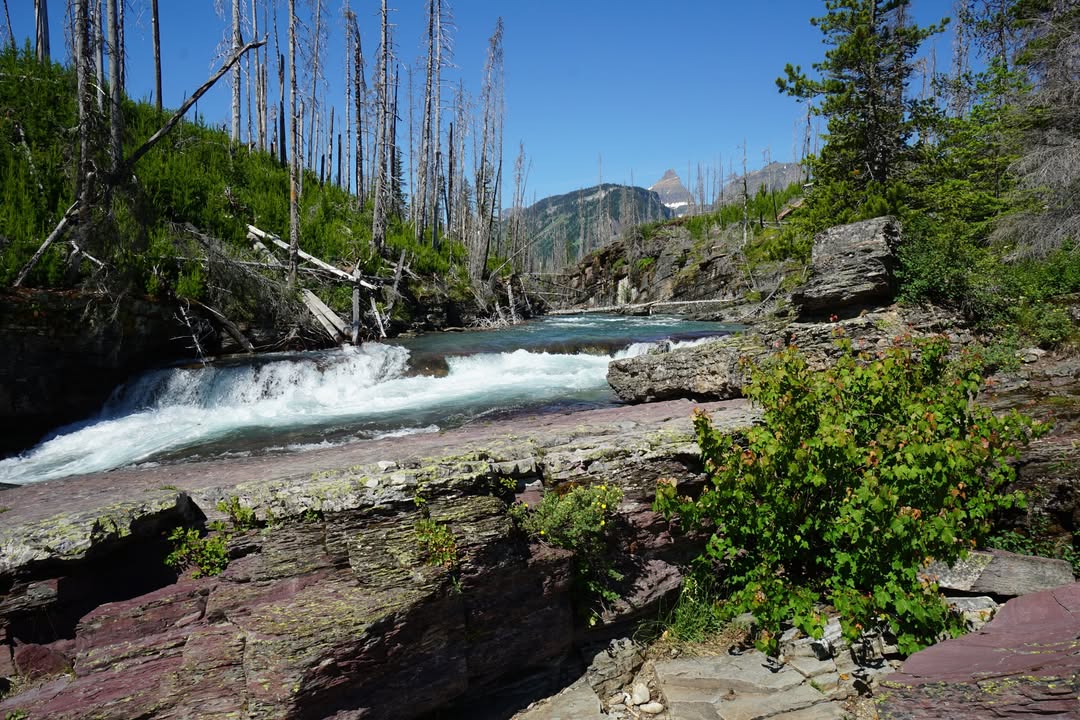 Glacier National Park, MT