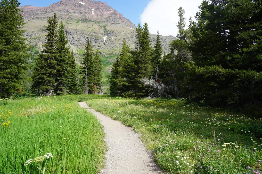 Glacier National Park, MT