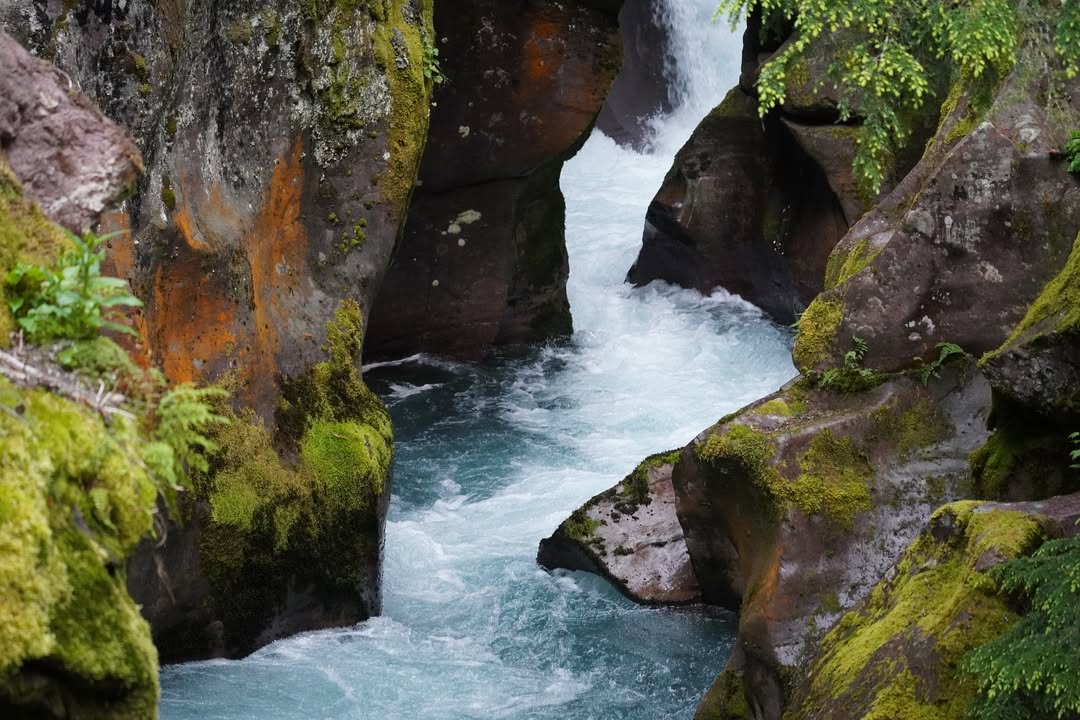 Avalanche Lake Trail