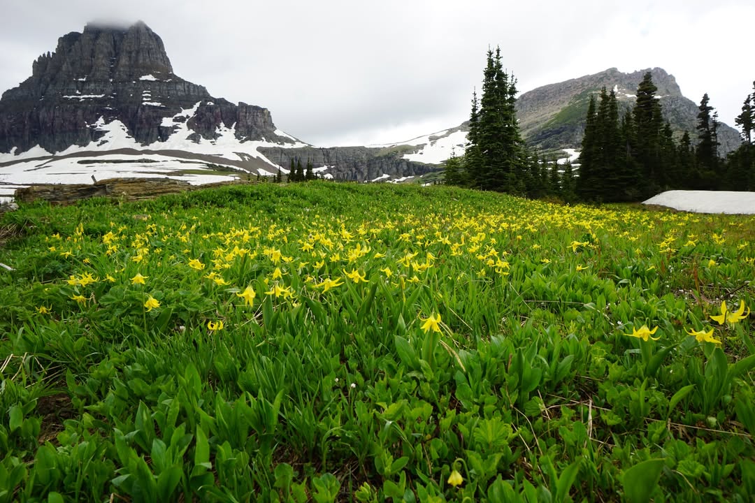 Hidden Lake Overlook Trail