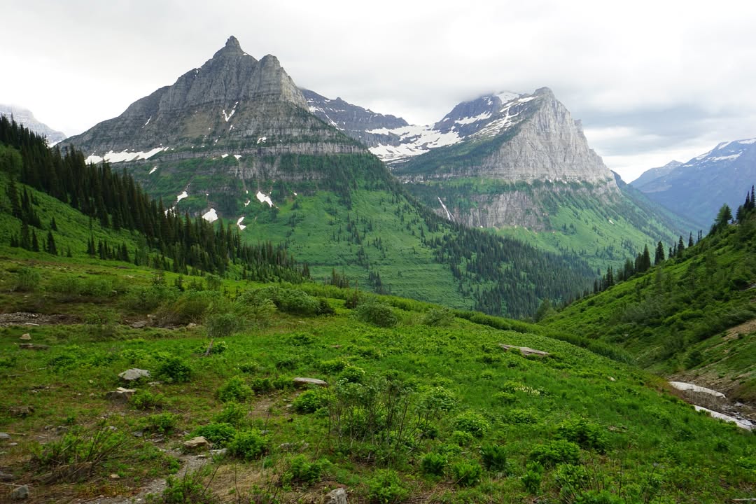 Hidden Lake Overlook Trail
