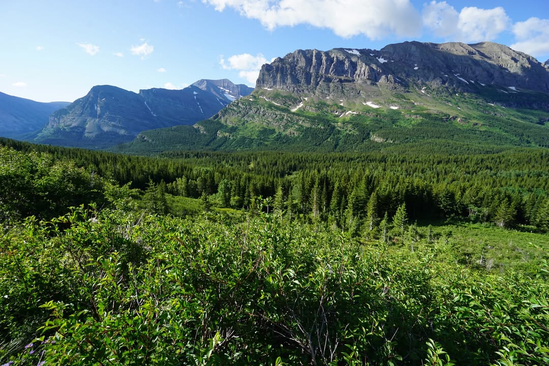 Iceberg Lake Trail