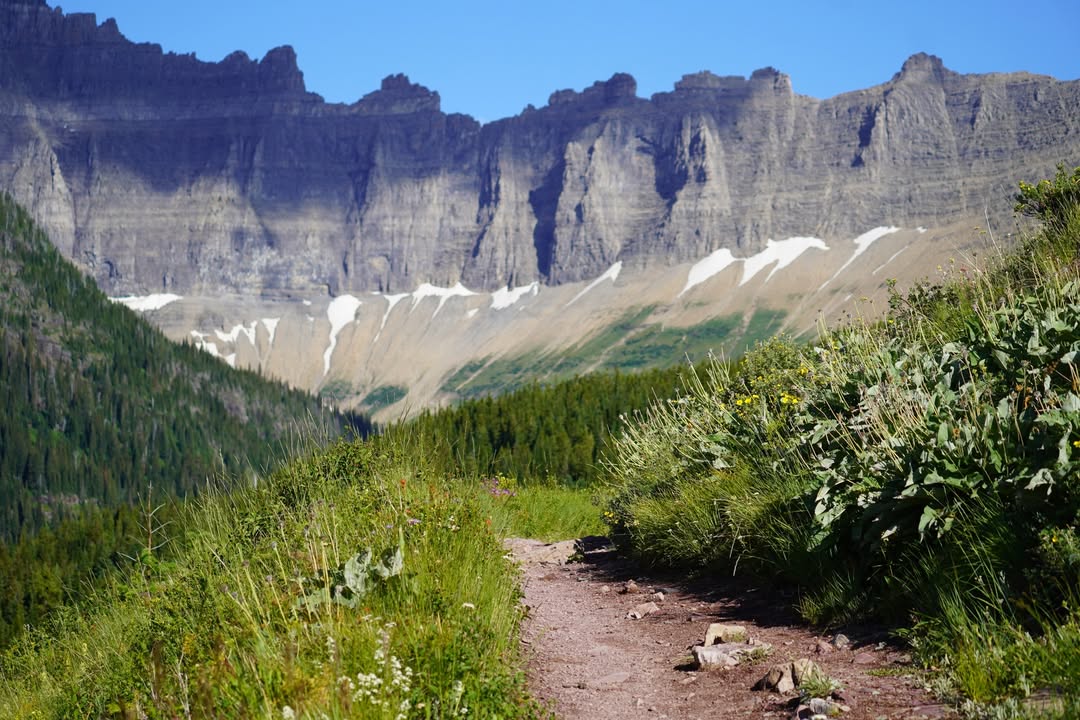 Iceberg Lake Trail