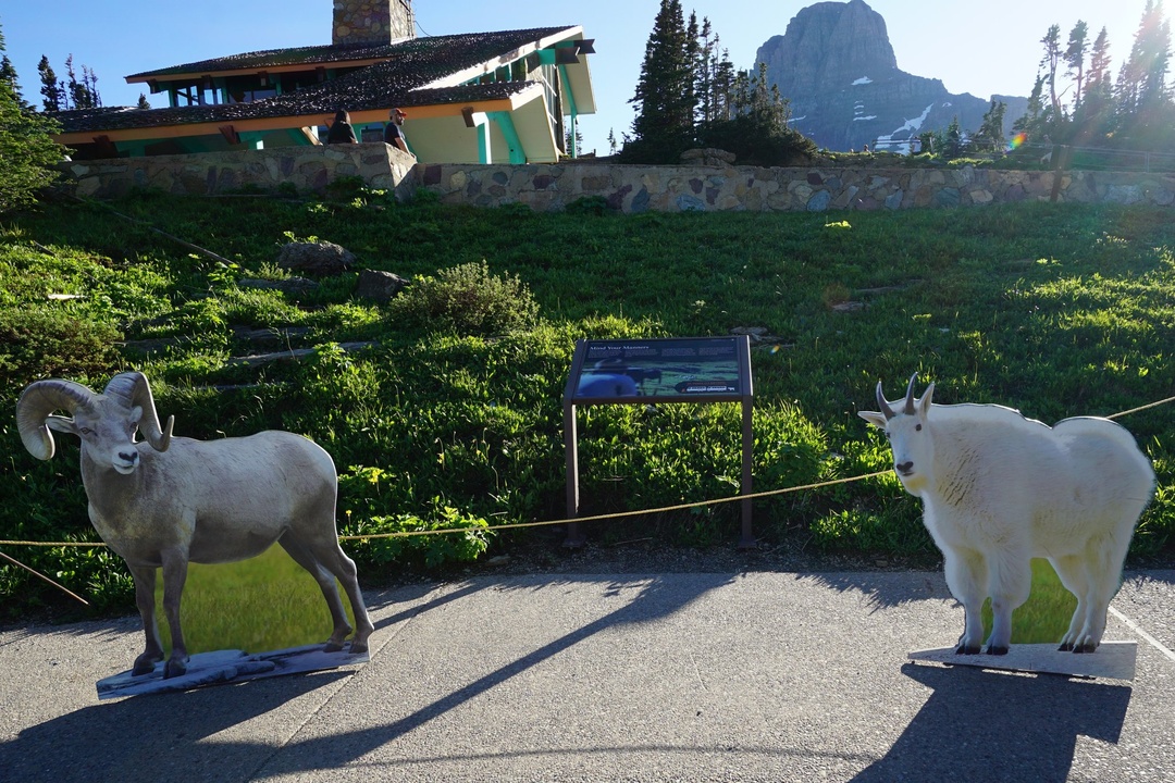 Logan Pass Visitor Center