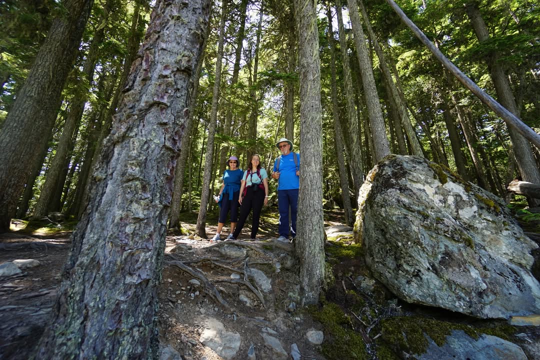 McDonald Creek Trail