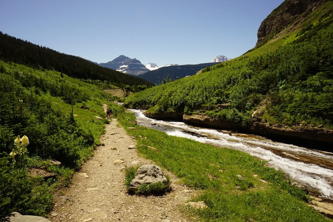 Piegan Pass trail