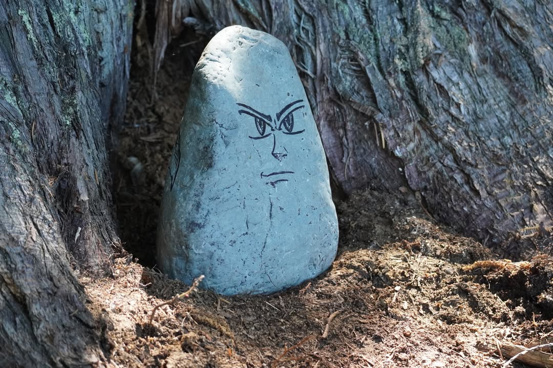 Rock by McDonald Lake