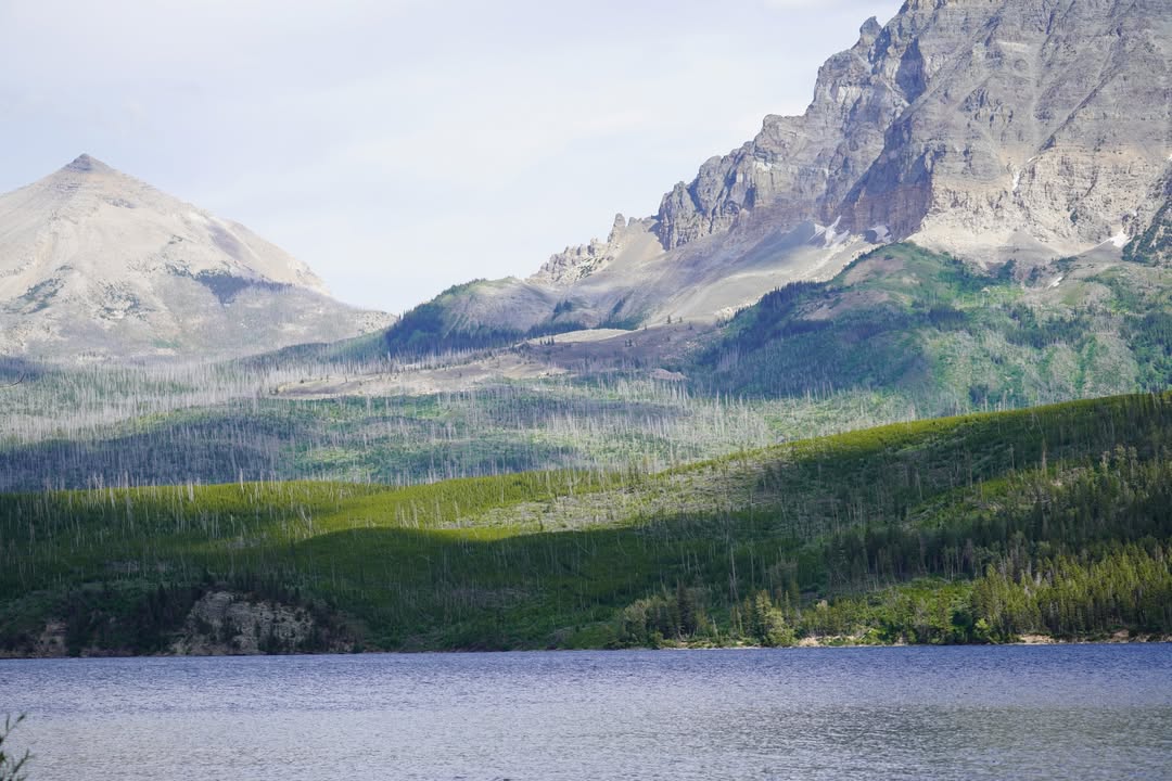 St Mary Lake with dead trees around it