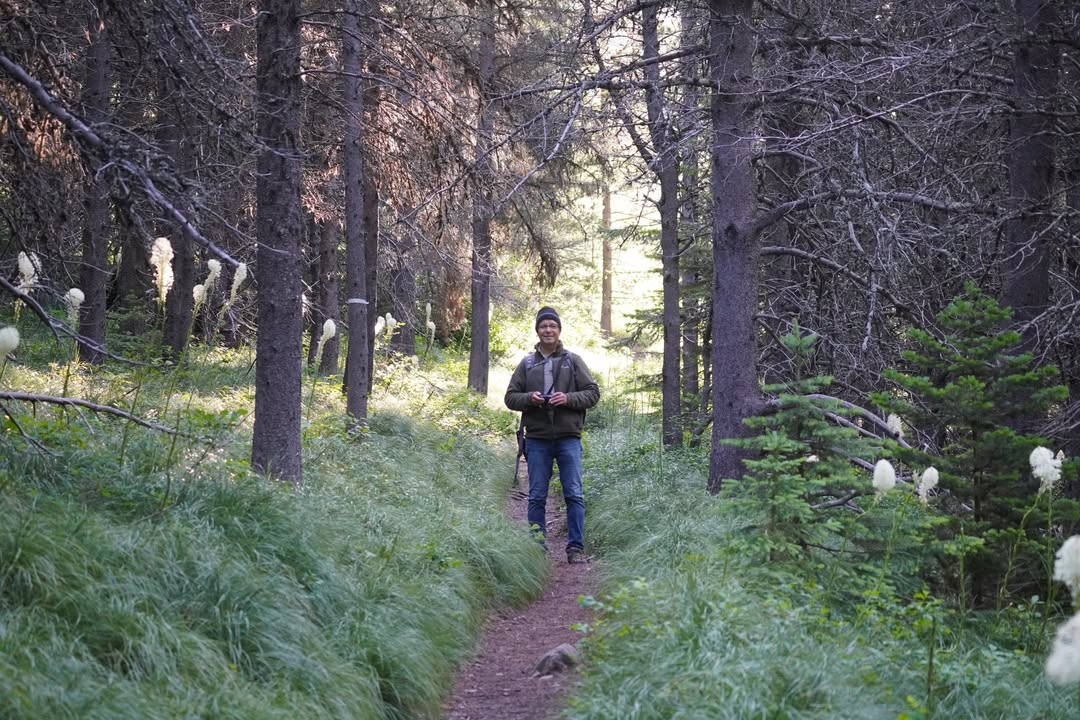 Trail in Many Glacier