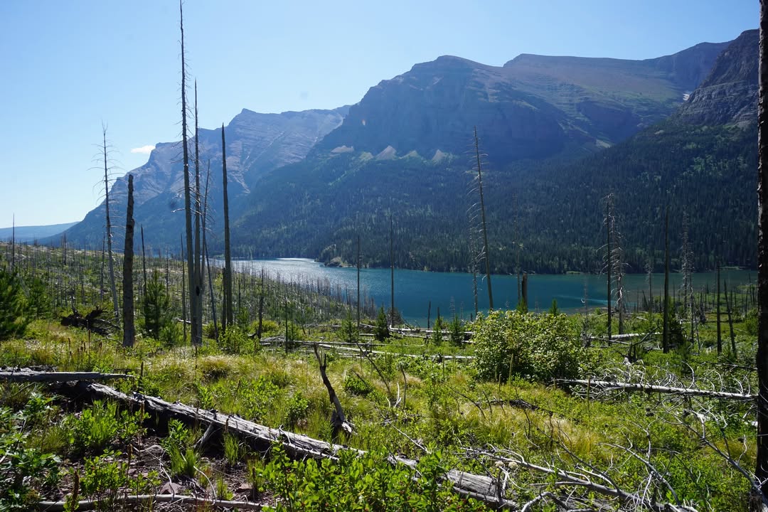 View on St Mary Falls Hike