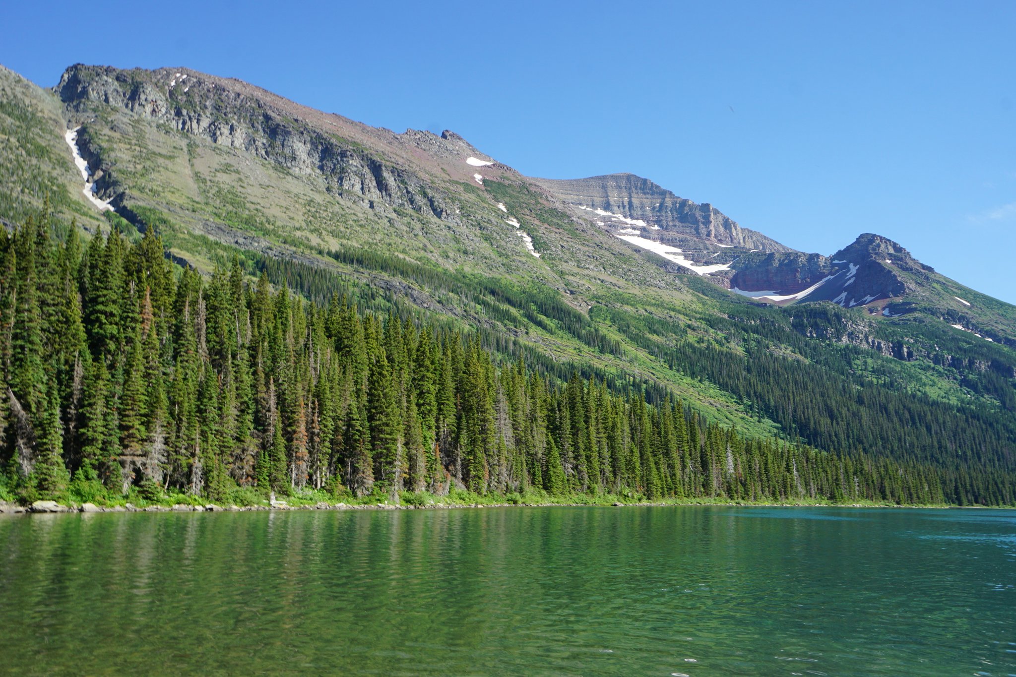Views on Swiftcurrent Lake Many Glacier Boat Tour