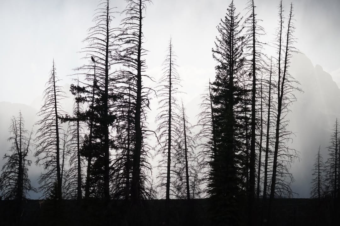 Grand Teton National Park, WY