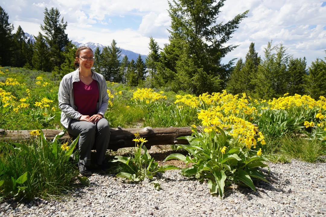 Behind Chapel of Transfiguration on Teton Park Road