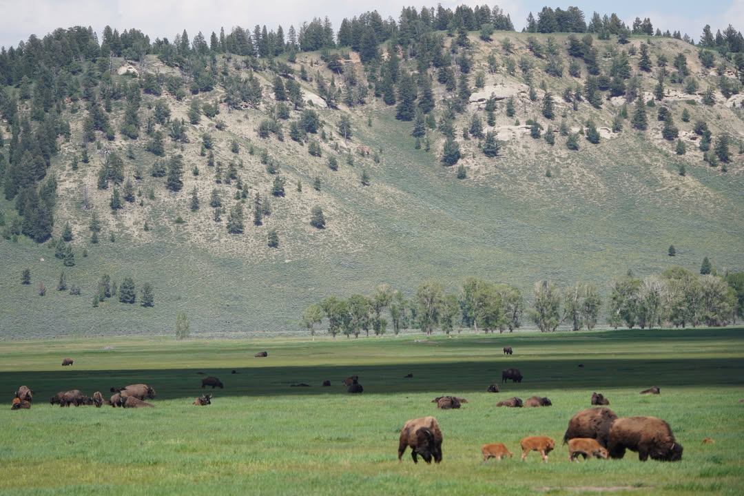 Grand Teton National Park, WY