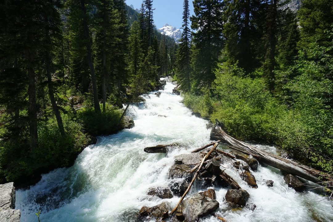 Creek at Jenny Lake
