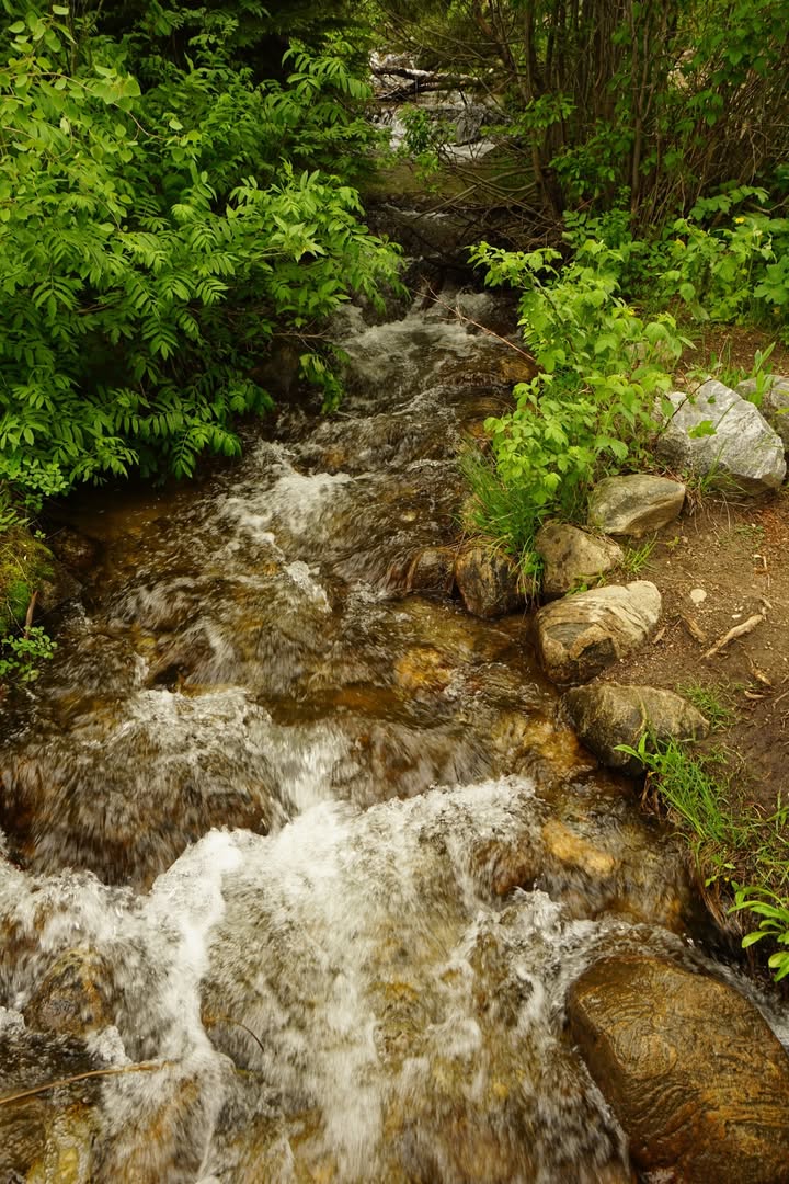 Creek on Taggart Lake Trail