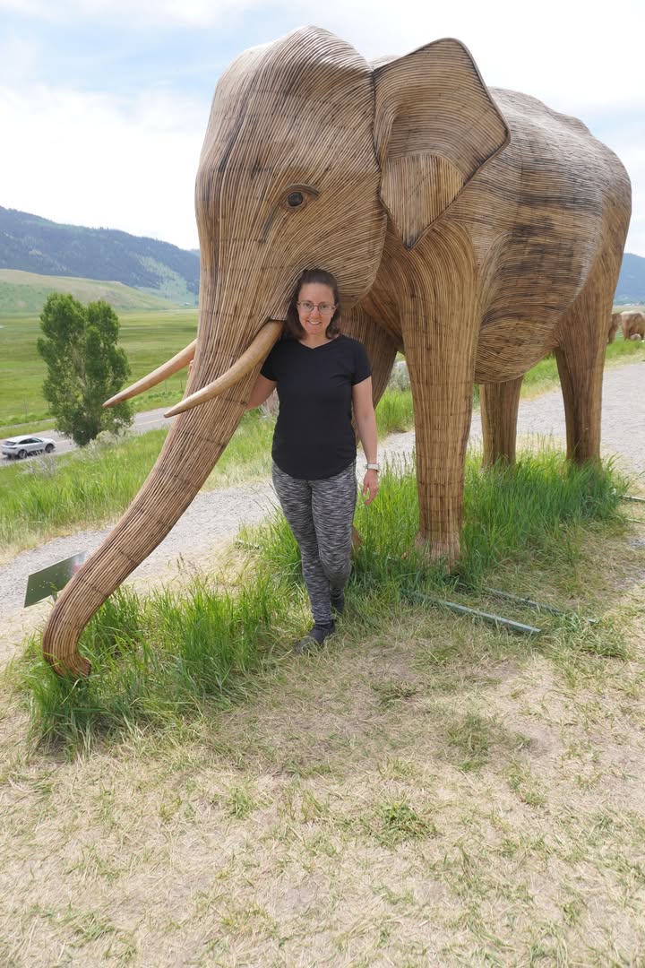 Elephant Exhibit at National Museum of Wildlife Art