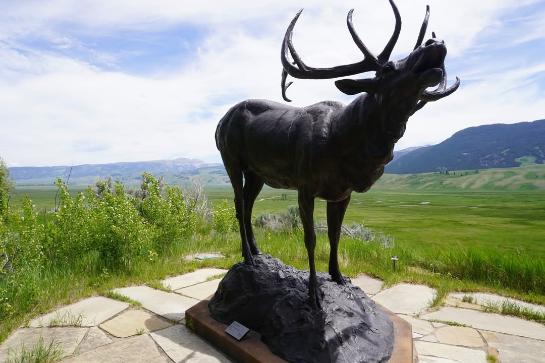 Elk Statue at National Museum of Wildlife Art