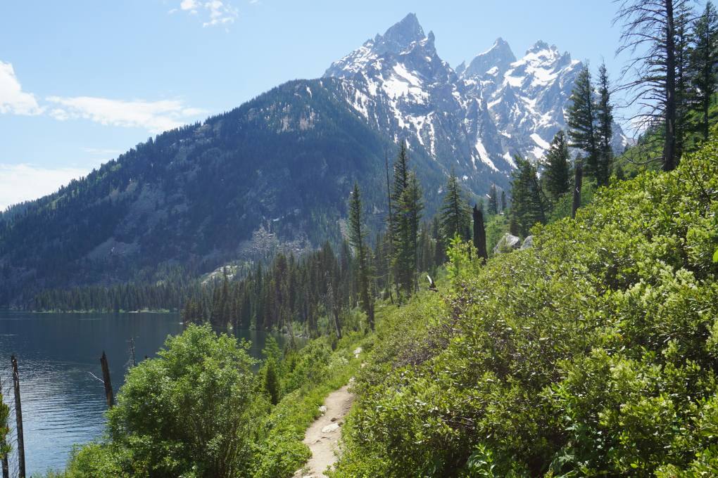 Jenny Lake Hike