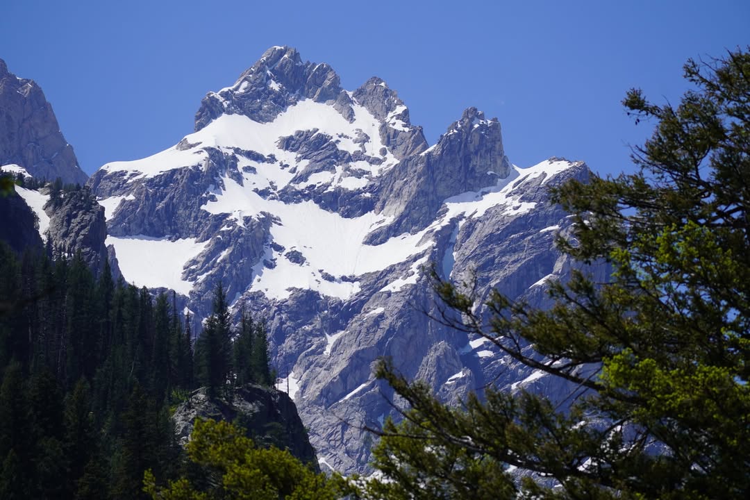 Mountain view from Jenny Lake