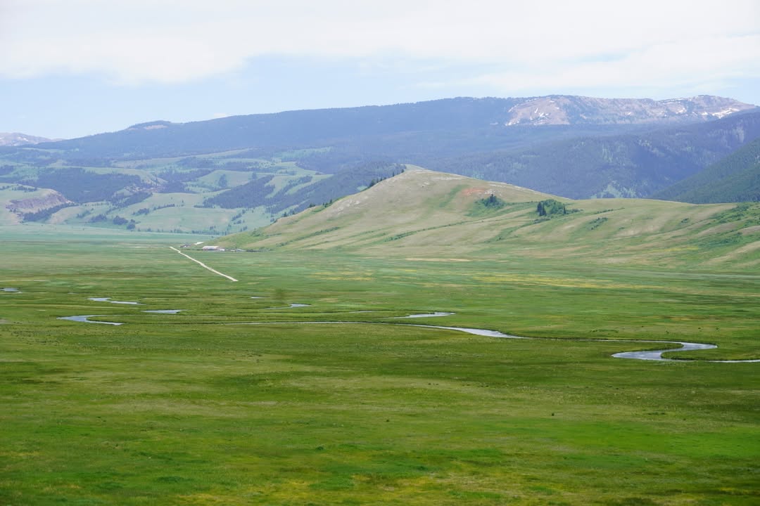 National Elk Refuge Views