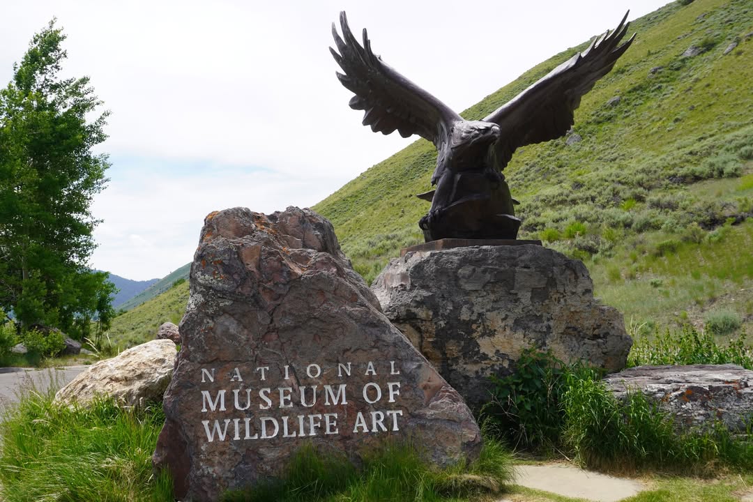 National Museum of Wildlife Art