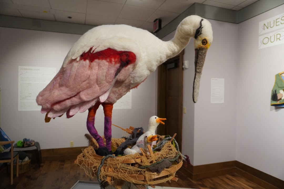 National Museum of Wildlife Art