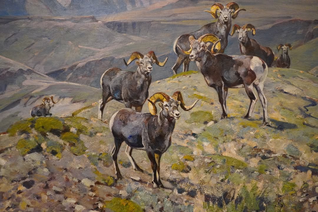 National Museum of Wildlife Art