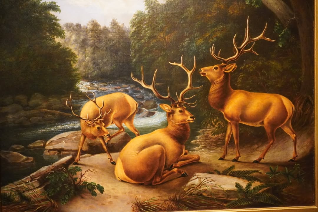 National Museum of Wildlife Art