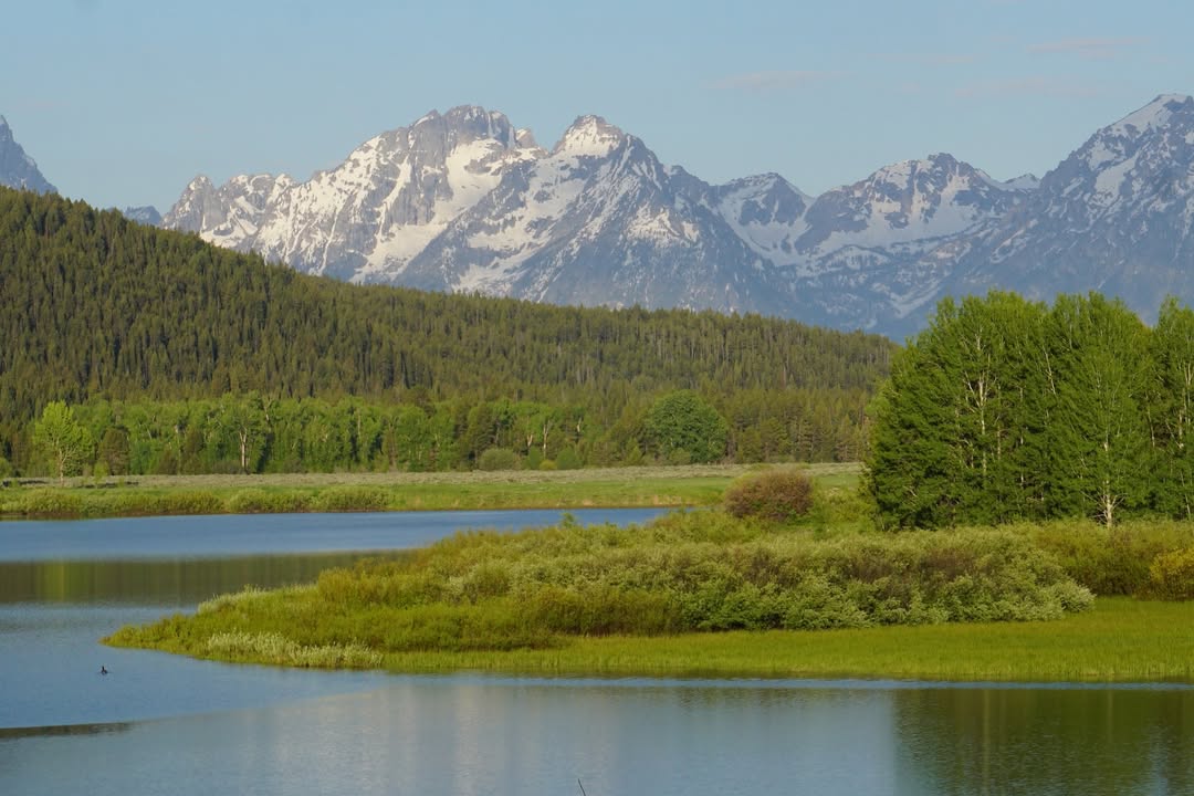 Oxbow Bend Lookout early in the morning