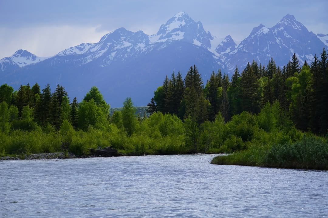 Scenic Float down Snake River