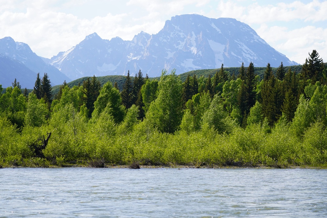 Scenic Float down Snake River