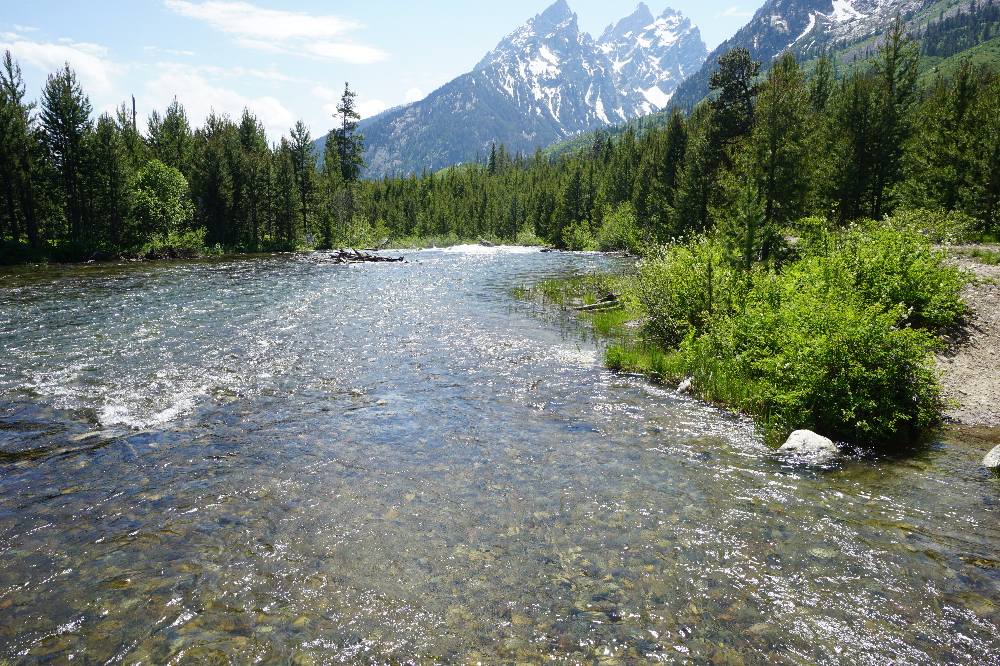 Schwabacher’s Landing