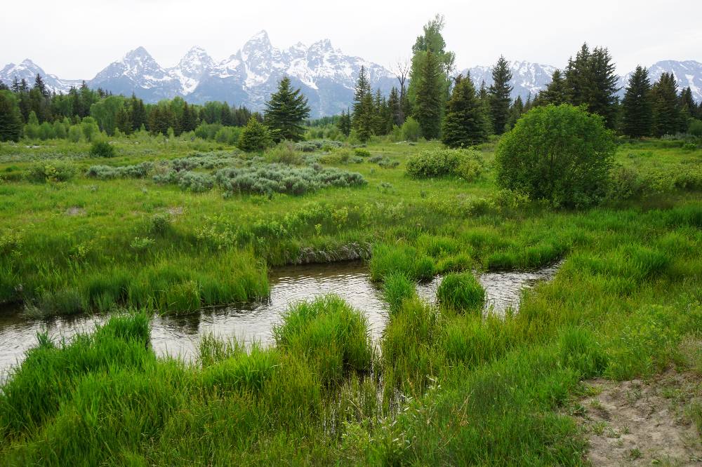 Schwabacher’s Landing