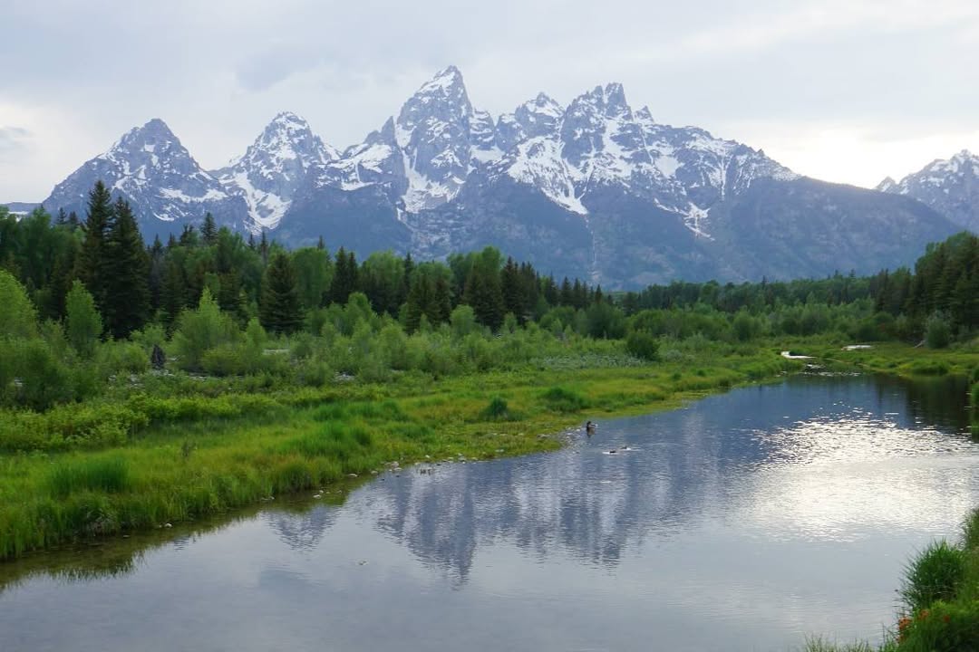 Schwabacher’s Landing