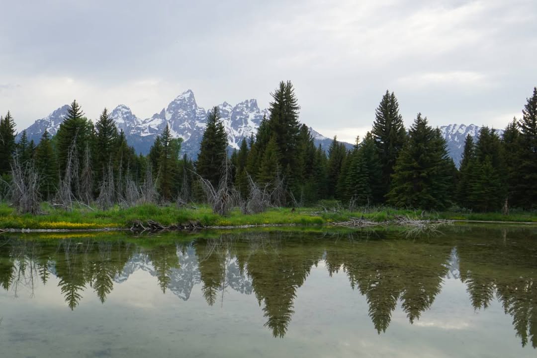 Schwabacher's Landing