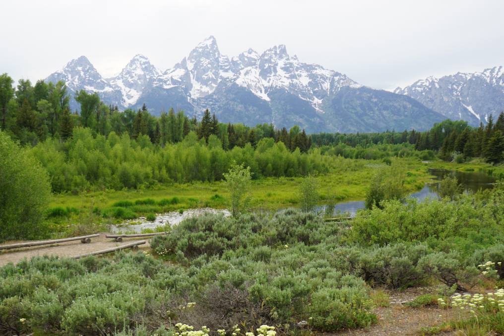 Schwabacker's Landing