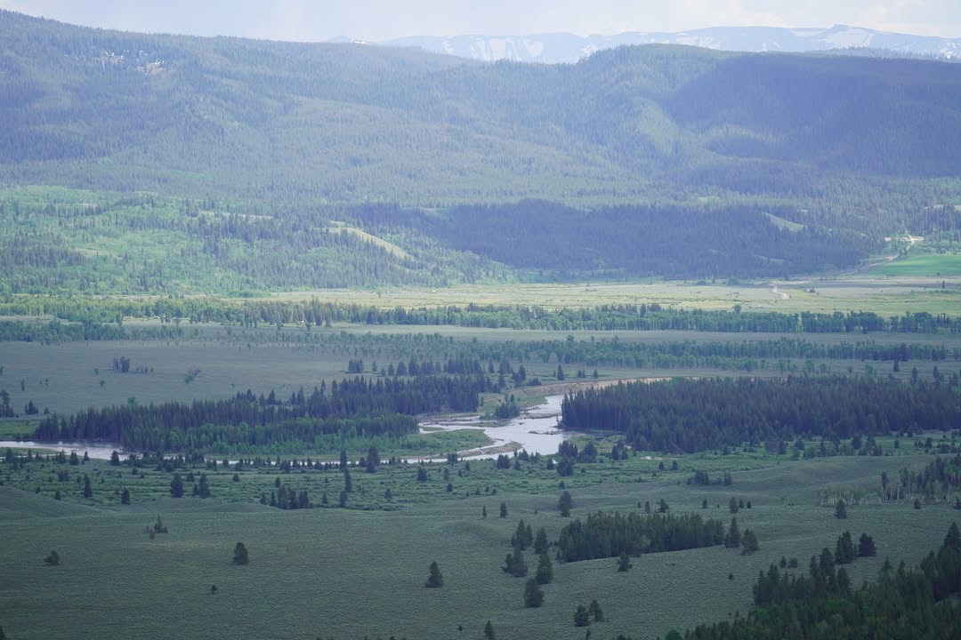 Snake river from the Signal Mountain Overlook