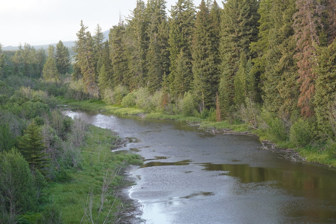 Snake River Overlook on Moose-Wilson Road