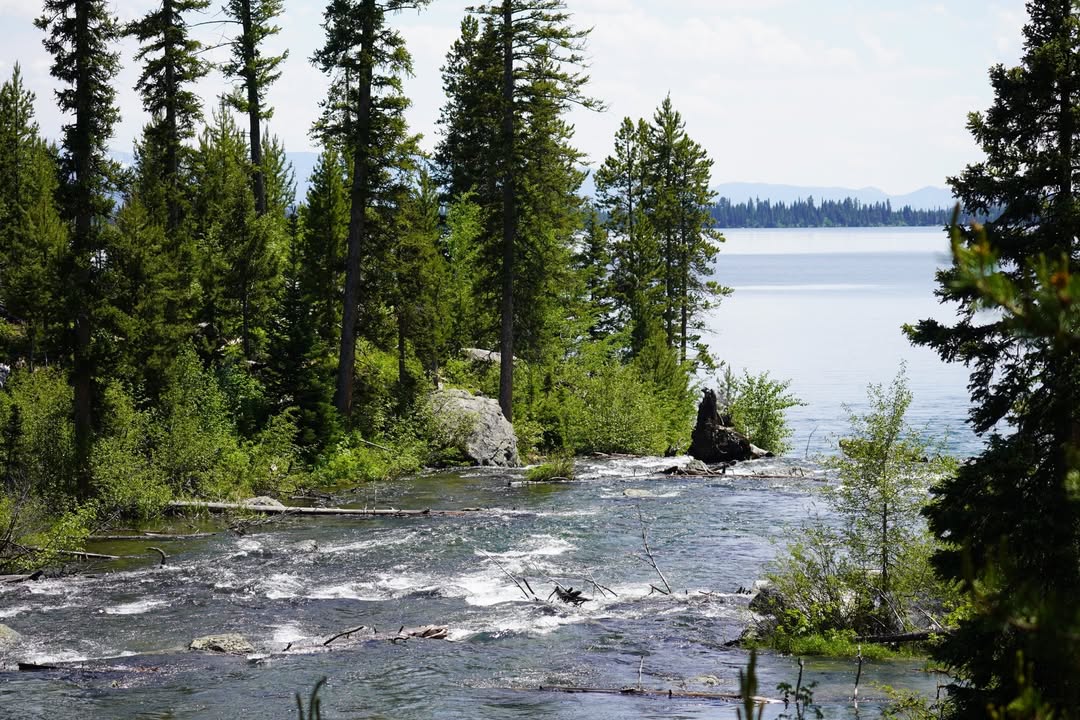 String Lake dumping into Jenny Lake