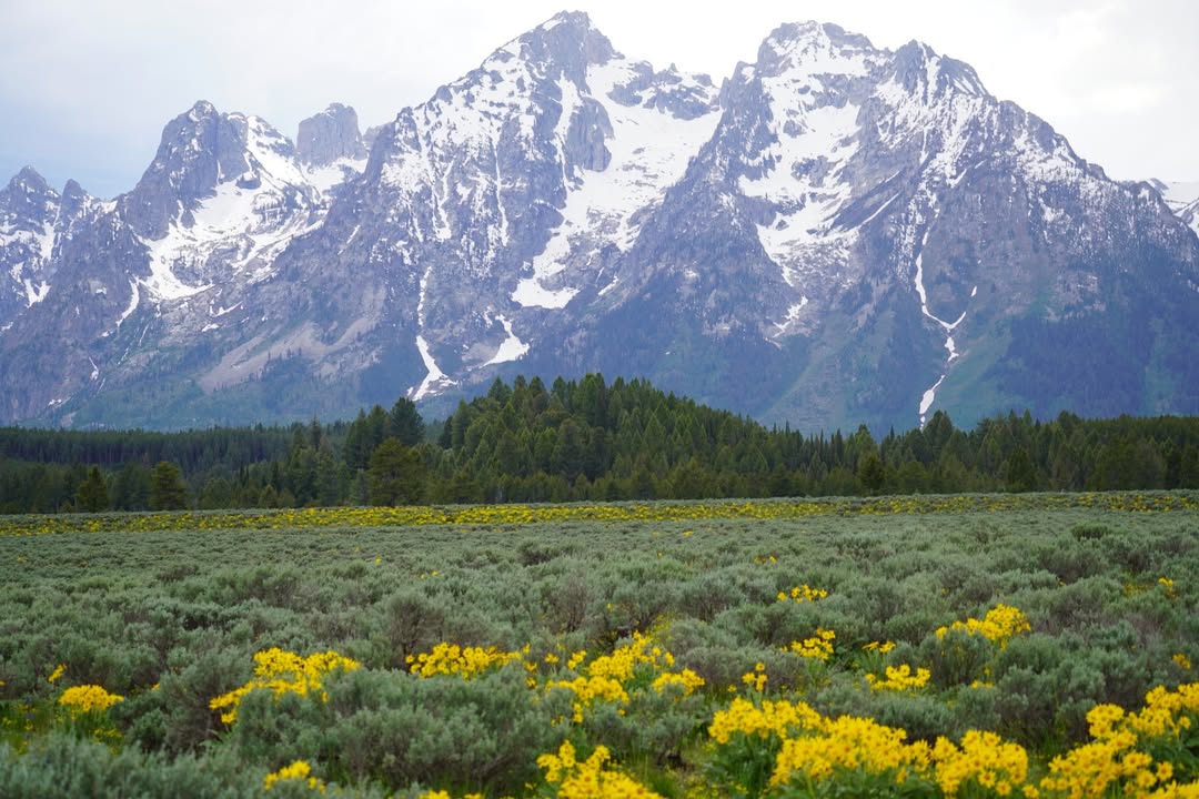 Teton Glacier Turnout