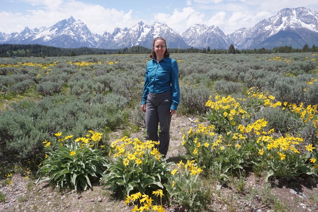 Teton Glacier Turnout
